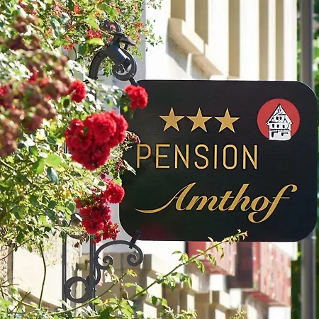 Maison d'hôtes Amthof 3*