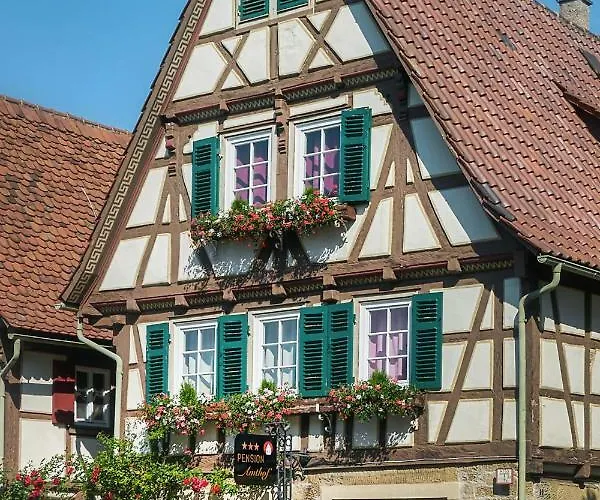 Amthof 3* 奥伯德尔丁根