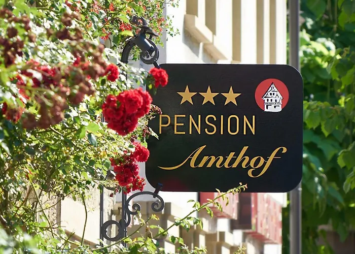 Pensionat Amthof 3*